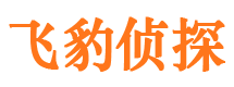 无极侦探公司